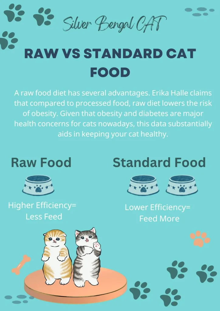 cat raw food diet