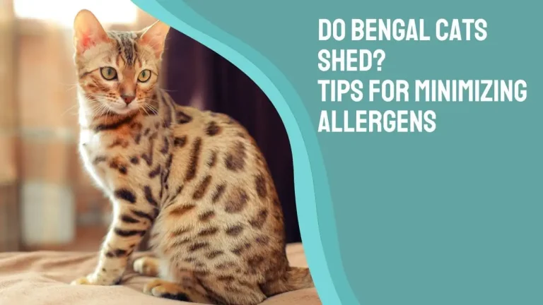 Do Bengal Cats Shed? Minimizing Allergens & Keeping Home Clean