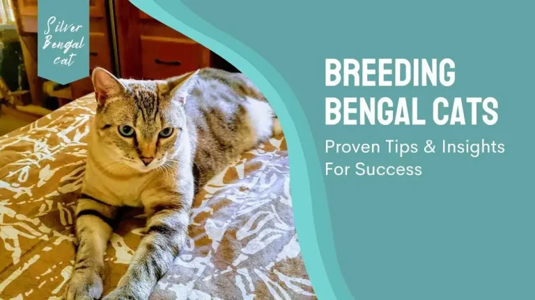 Breeding Bengal Cats 101: Proven Tips & Insights For Success