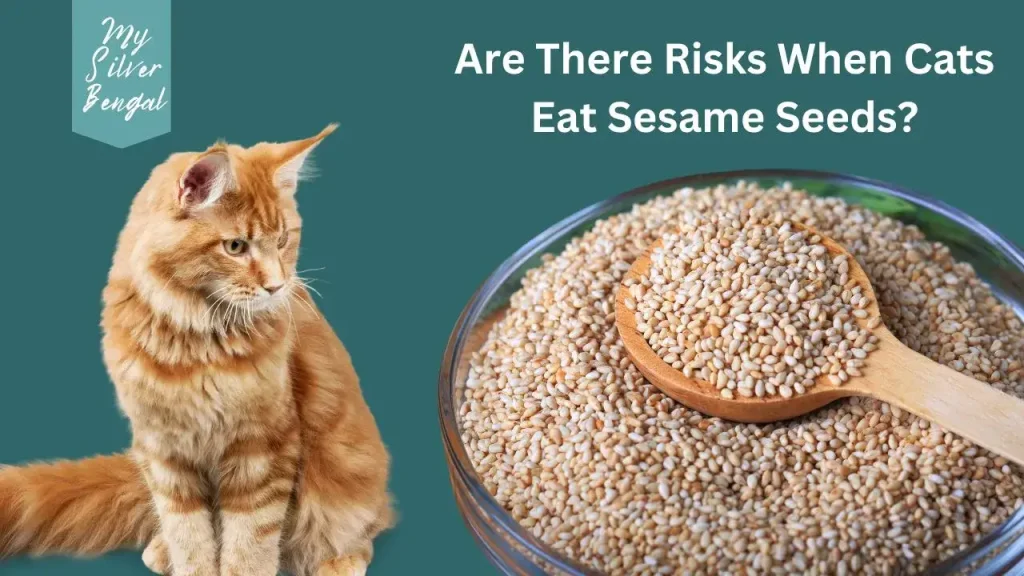 are sesame seeds bad for cats