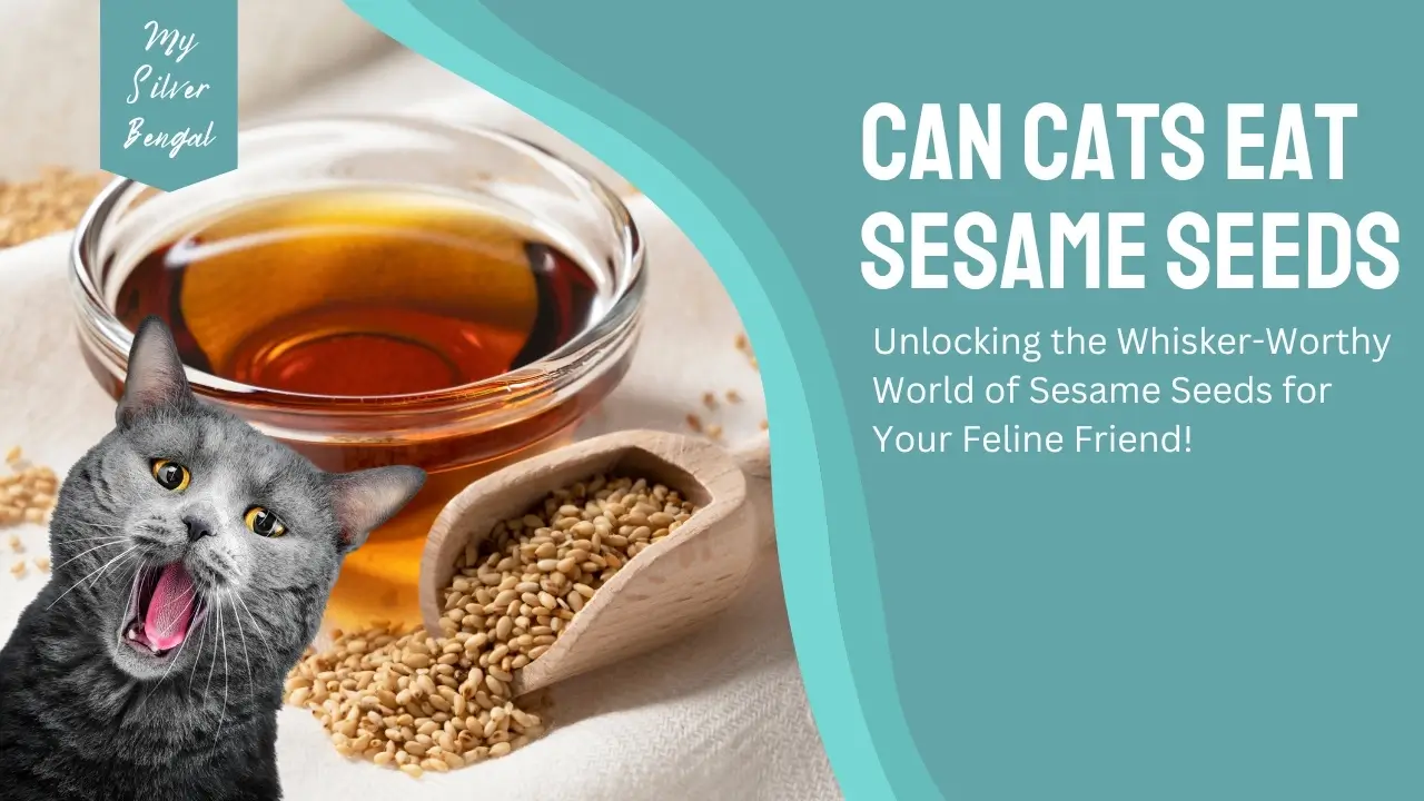 can cats eat sesame seeds