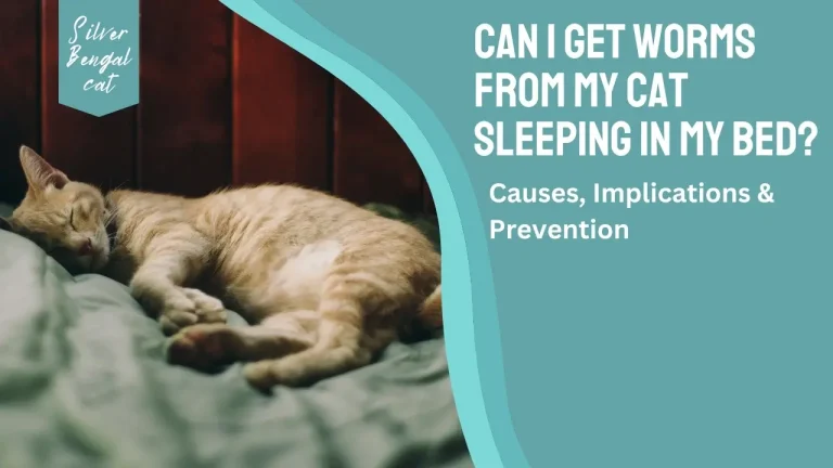 Can I Get Worms From My Cat Sleeping In My Bed? Causes & Prevention