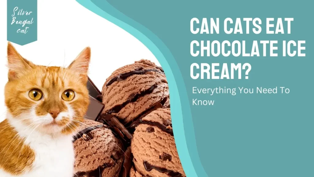 can cats eat chocolate ice cream