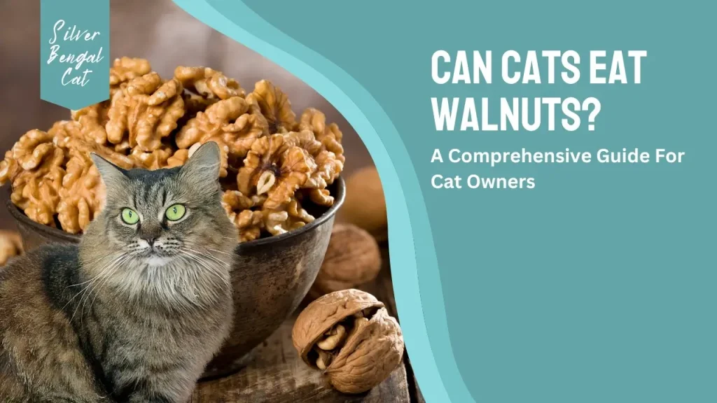 can cats eat walnuts