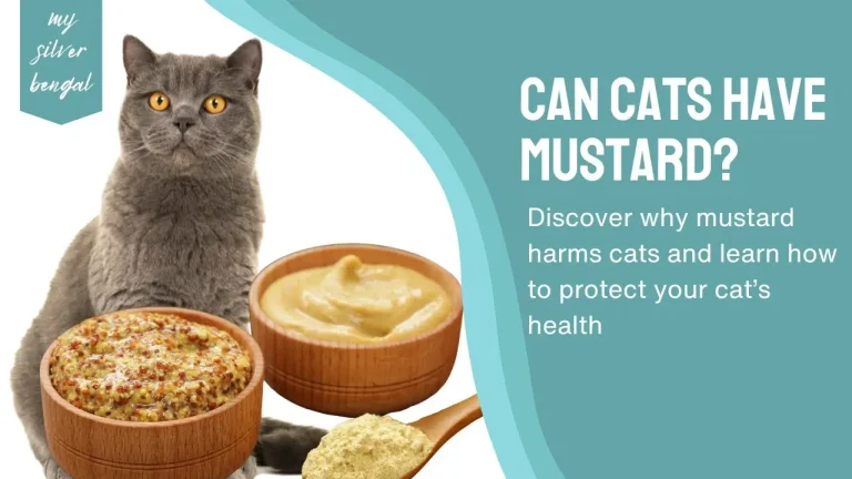 Can Cats Have Mustard? Is mustard bad for cats?