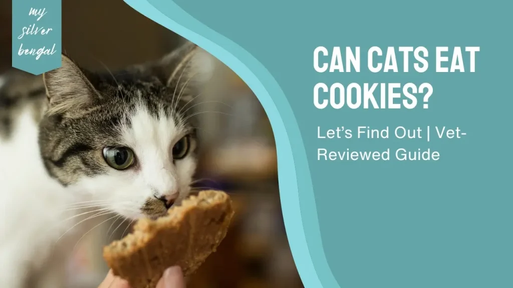 can cats eat cookies